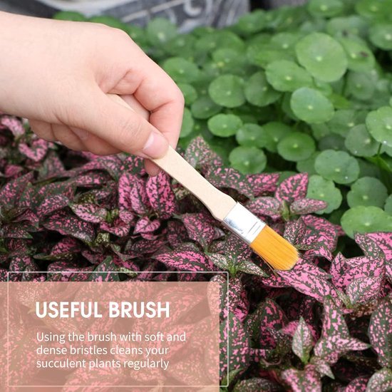 Dailygoods - Bonsai Gereedschapsset - 12 Stuks Mini Tuin Verplantgereedschap van Dailygoods — afbeelding 5