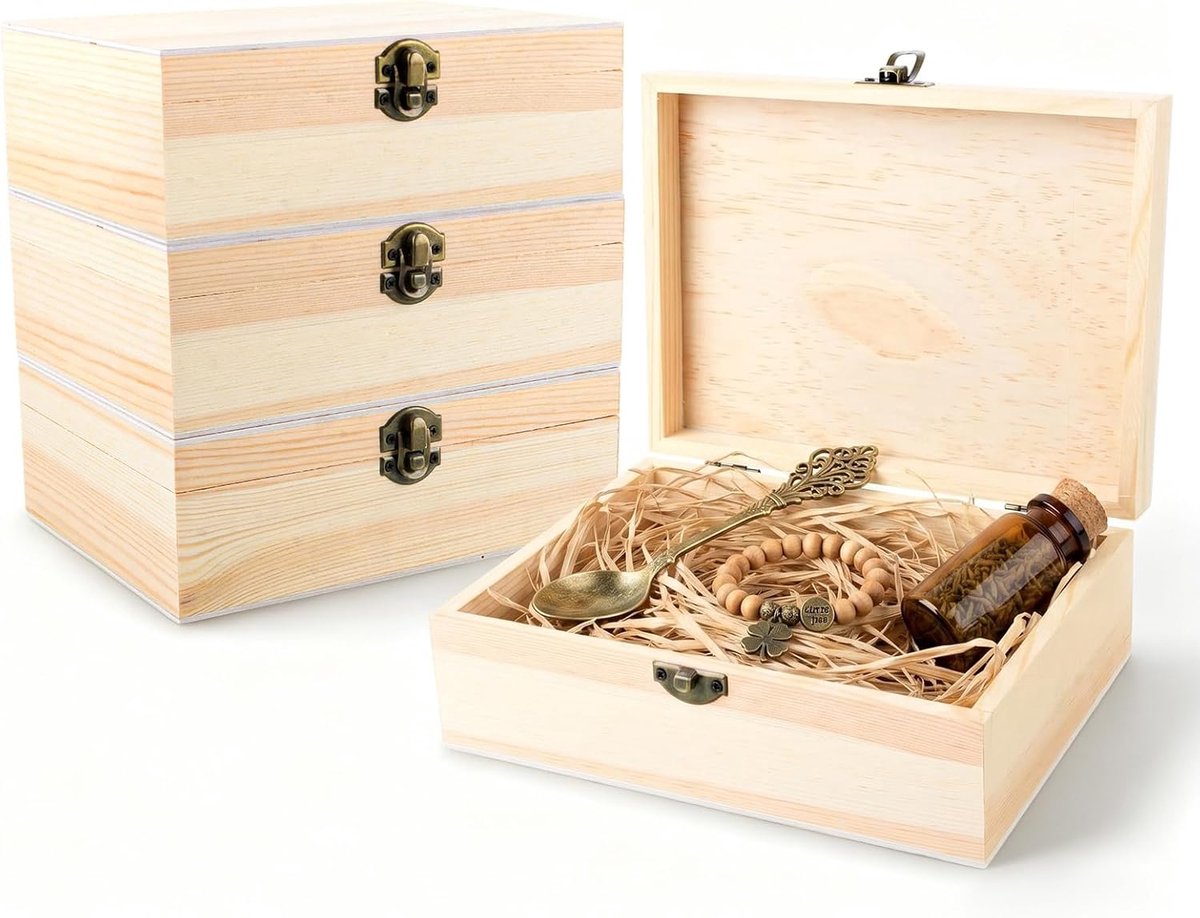 kist met deksel, 4 stuks, 20 x 15 x 6 cm, houten kist met deksel, kleine houten kist met scharnieren en slot, schatkist, klein om te beschilderen, houten kist, schatkist
