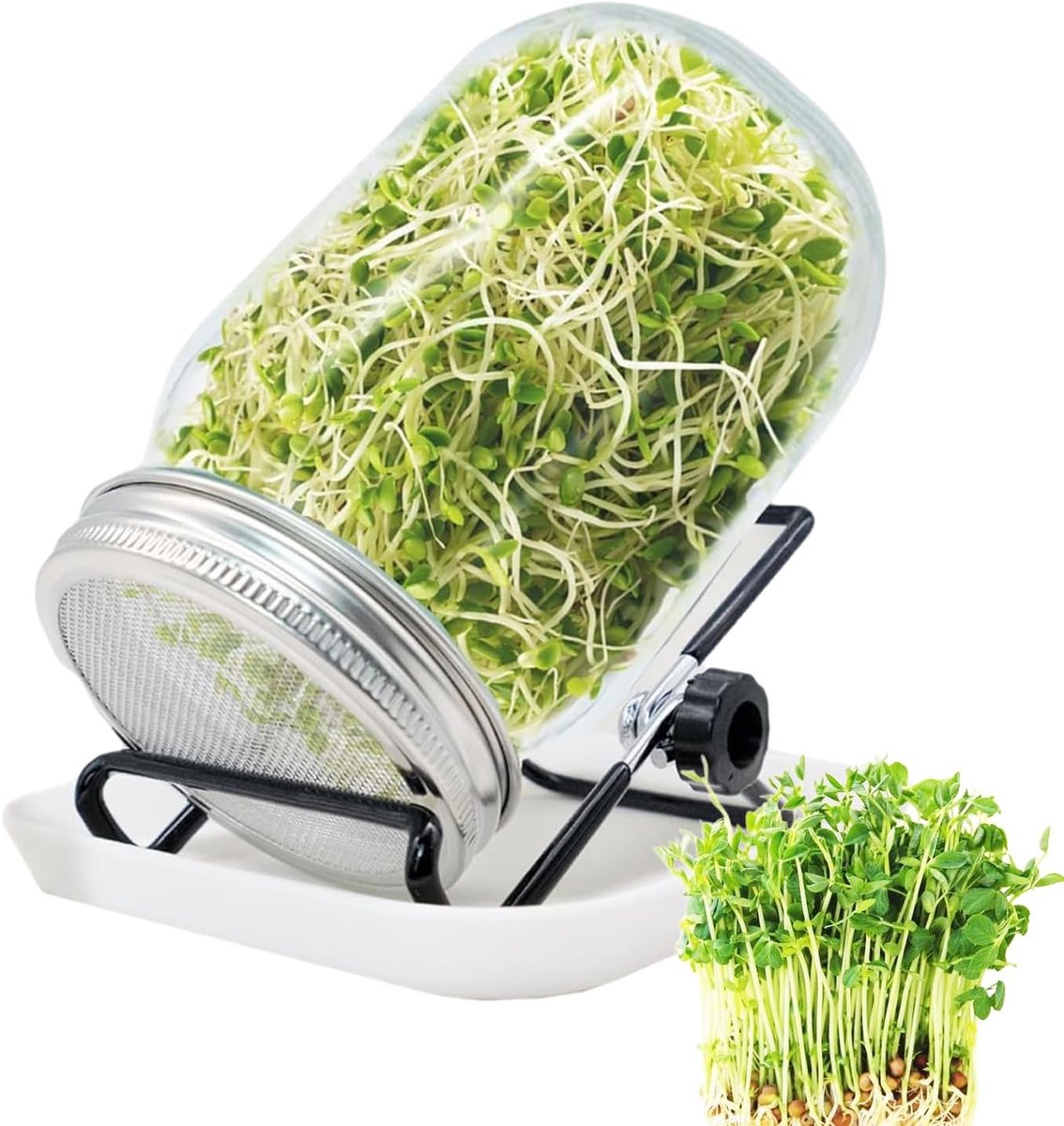 Kiemglas, set kiemglas, 1000 ml, kiemglas voor kiemglas, met 1 waterschaal, 1 filterroosterafdekking van roestvrij staal 304 en 1 standaard, voor Alfalfa broccoli, mungbonen