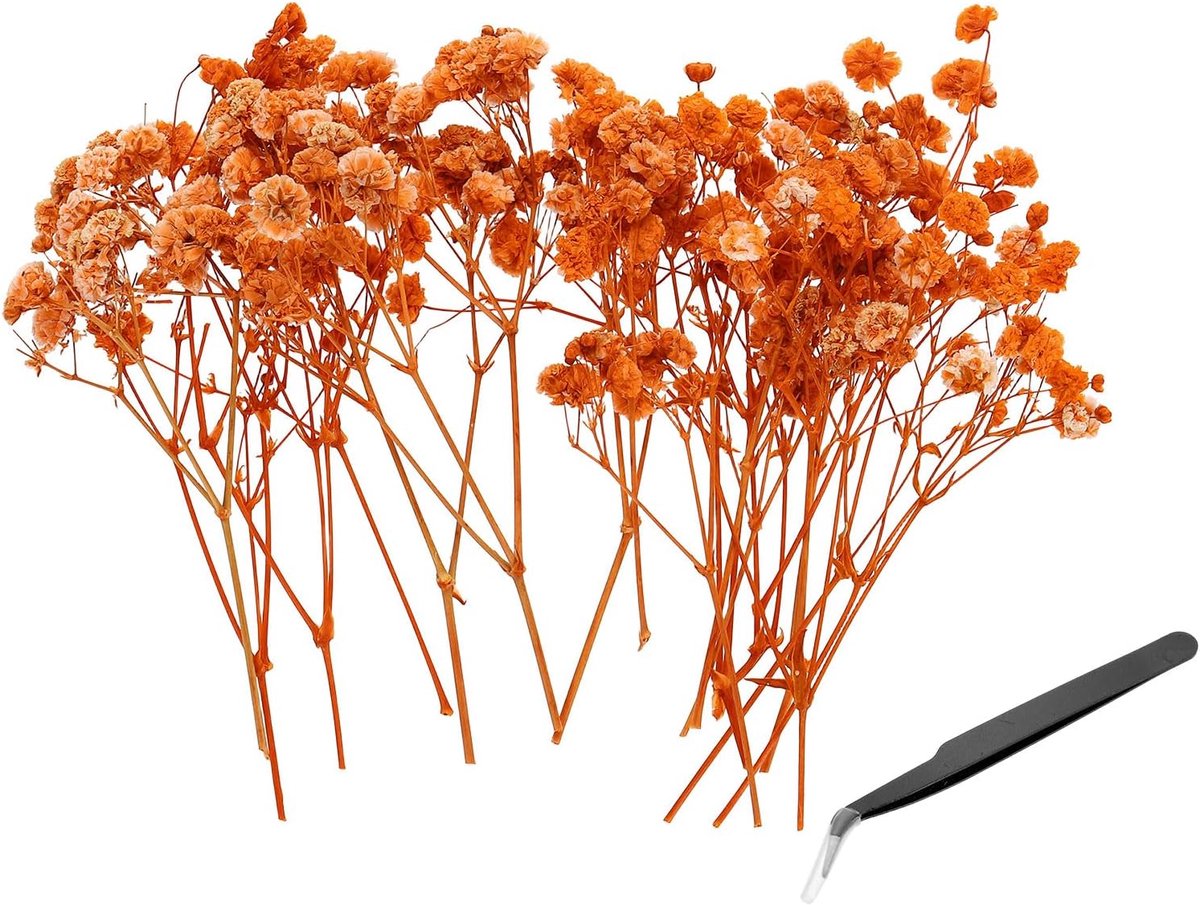 Mini Droge Gypsophila Bloem Kit, 30 Stuks 10 cm Oranje Natuurlijk Geperste Bloem Bundels met Pincet voor DIY Hars Knutselen Cadeau Bruiloft Kerstkaart Decor Bloem Boeketten