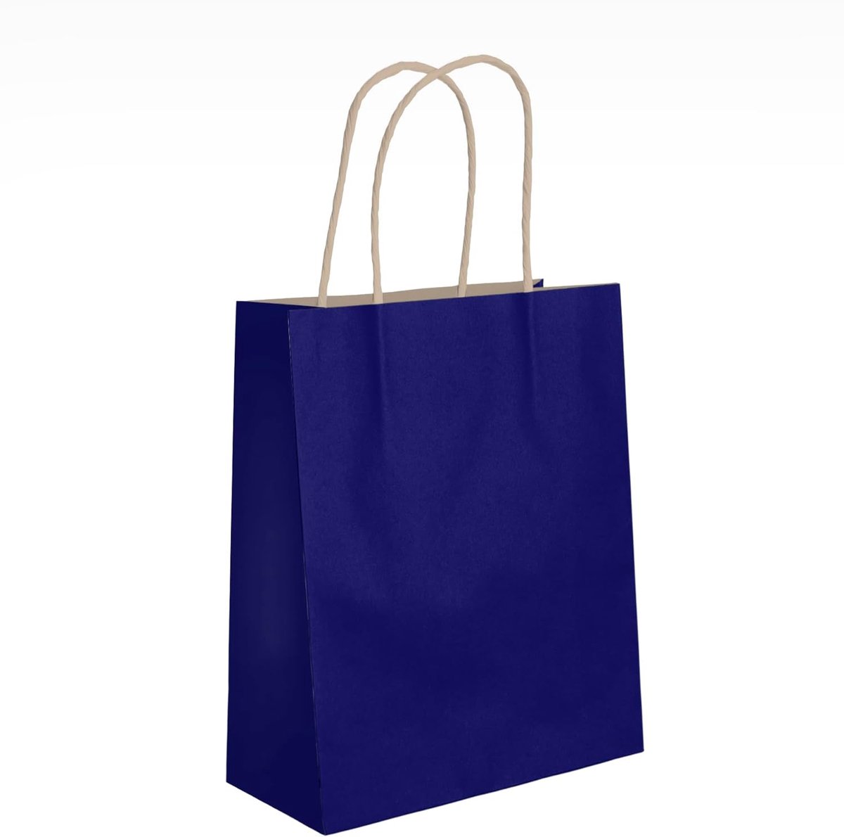 Kraftpapieren geschenkzakjes, set van 10 met hengsels, 18 x 22 cm, milieuvriendelijke boodschappen- en geschenkdraagtassen, ideaal voor verjaardagen, feesten, cadeautjes en