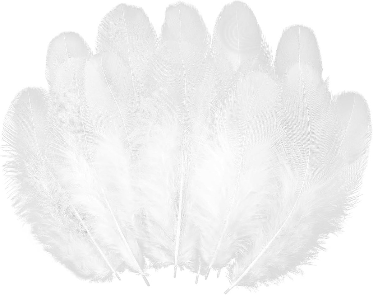 300 stuks veren, voor knutselwerk, grote verpakking, veer voor dromenvanger, hoofdtooi, doe-het-zelf, oorbellen, feesten, woondecoratie, hoedkleding (8-11 cm, wit)