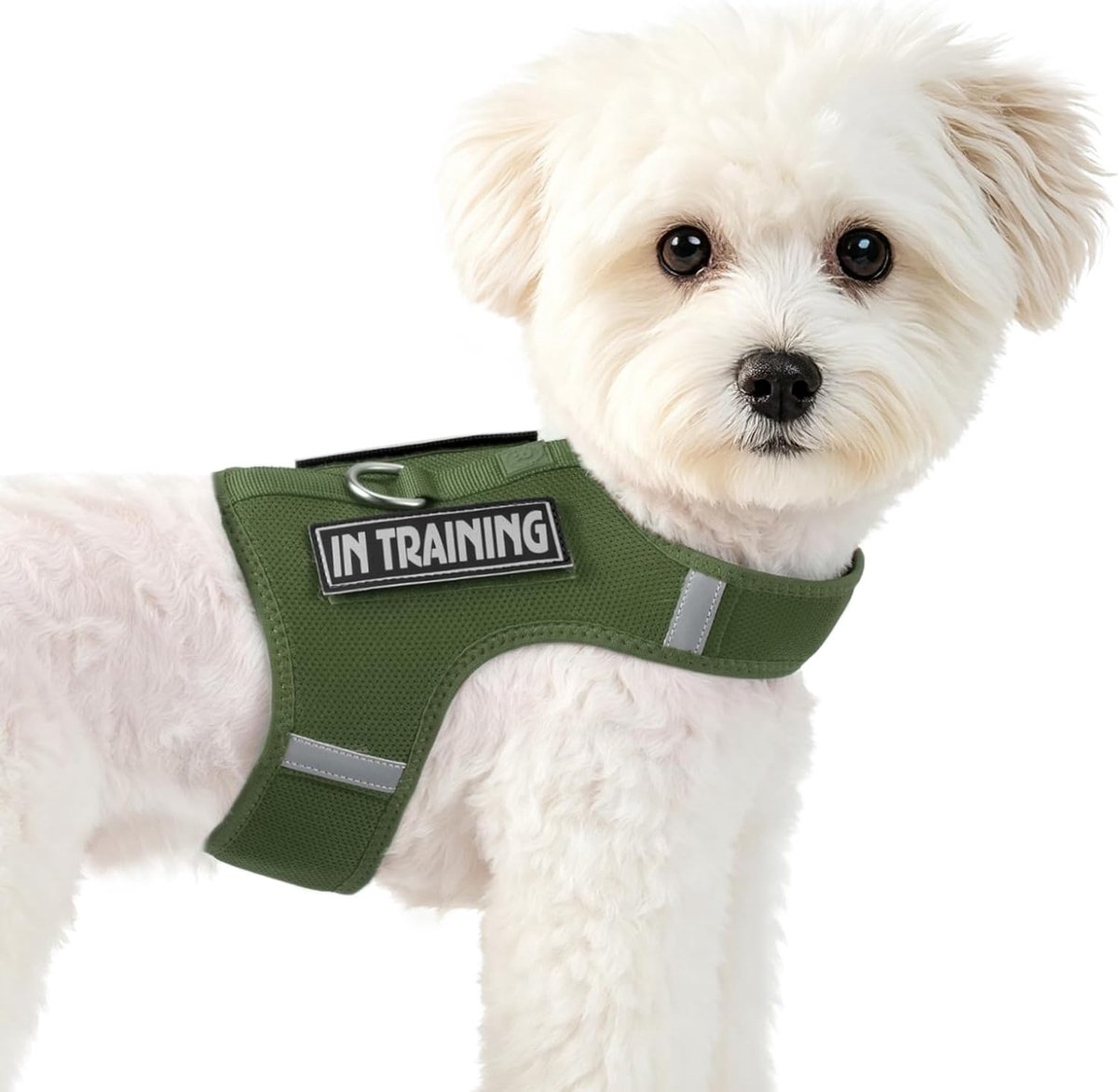 Puppyharnas voor kleine honden, in grootte verstelbaar, ademend zacht vest met reflecterende strepen + 2 klittenbandpatches (nevelgroen, M)