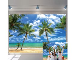 Strand Fotografie Achtergrond Kust Palmboom Oceaan Foto Achtergrond Hawaiian Luau Clear Sea Blue Sky Vakantie Reis Vakantie Kid Volwassen Foto Prop (8X6FT (240x180cm))