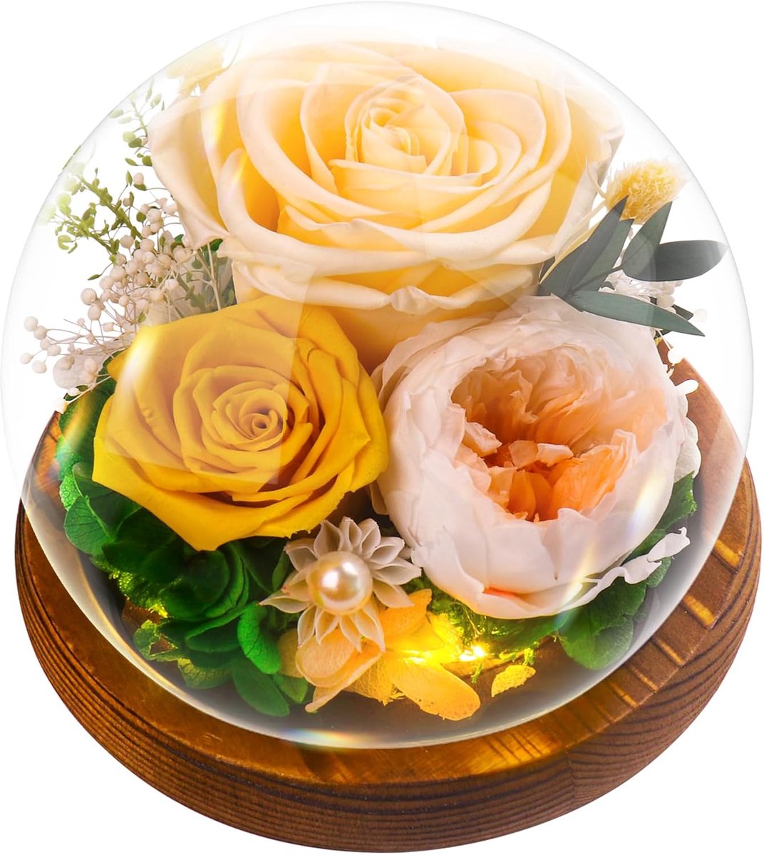cadeaus voor vrouwen, geconserveerde eeuwige roos in glazen koepel, echte bloemen voor haar, Forever Love doordacht Miss-You cadeau voor mama vrouw vriendin op verjaardag bruiloft