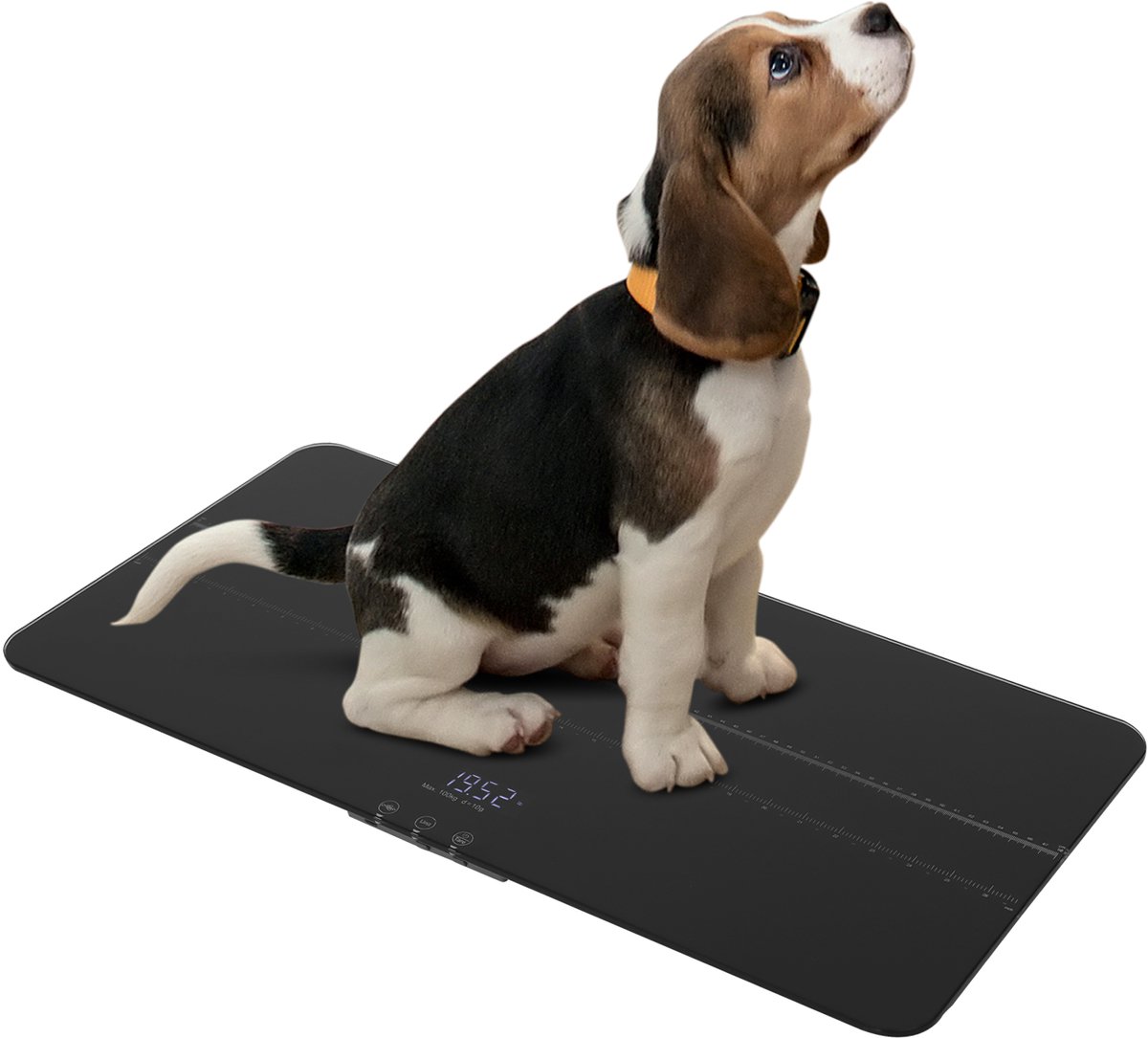 M-Goods Huisdier Weegschaal - Digitale Dierenweegschaal - LED Display - Hoge Precisie - Max. 100 kg