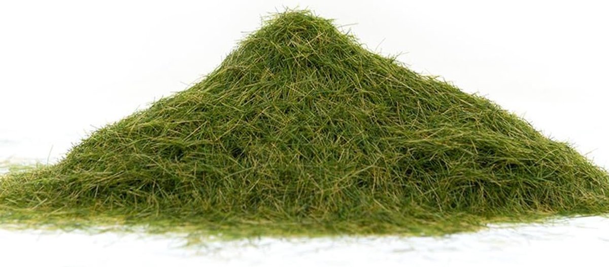 SnelShoppen - 30g Kunstgras Poeder Mos Voor Modelbouw - Losse Grasweides, Model Spoor Gras, 5mm Hoog, Wintergroen - Ideaal Voor Diorama's