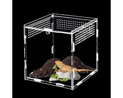 Mini Terrarium 15 x 15 cm voor Sprinkhanen, Slakken en Reptielen - Ideaal voor Voeding en Huisvesting van Insecten en Kleine Dieren