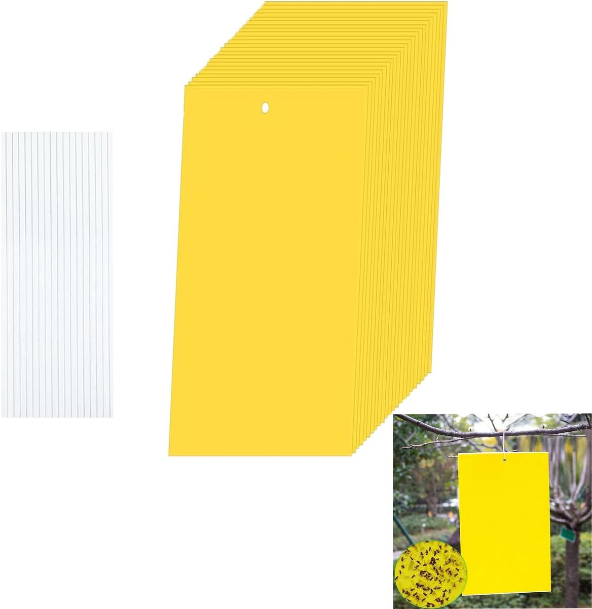 SnelShoppen - Gele Stickers Rouwmuggen Bestrijden - 50 Stuks Feromonval voor Binnen en Buiten - Appelwikkelaar - Duurzaam en Veilig - 20 x 10 cm