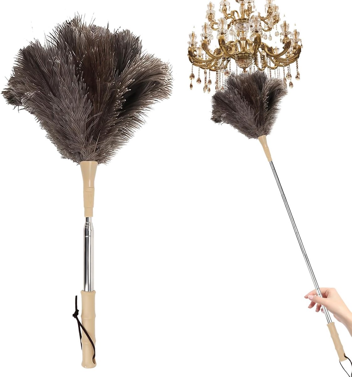 Thijox - Plumeau Struisvogelveren met Houten Handvat - Uittrekbaar tot 115 cm - Perfect voor Spinnenwebben, Hoge Oppervlakken, Plafondventilatoren en