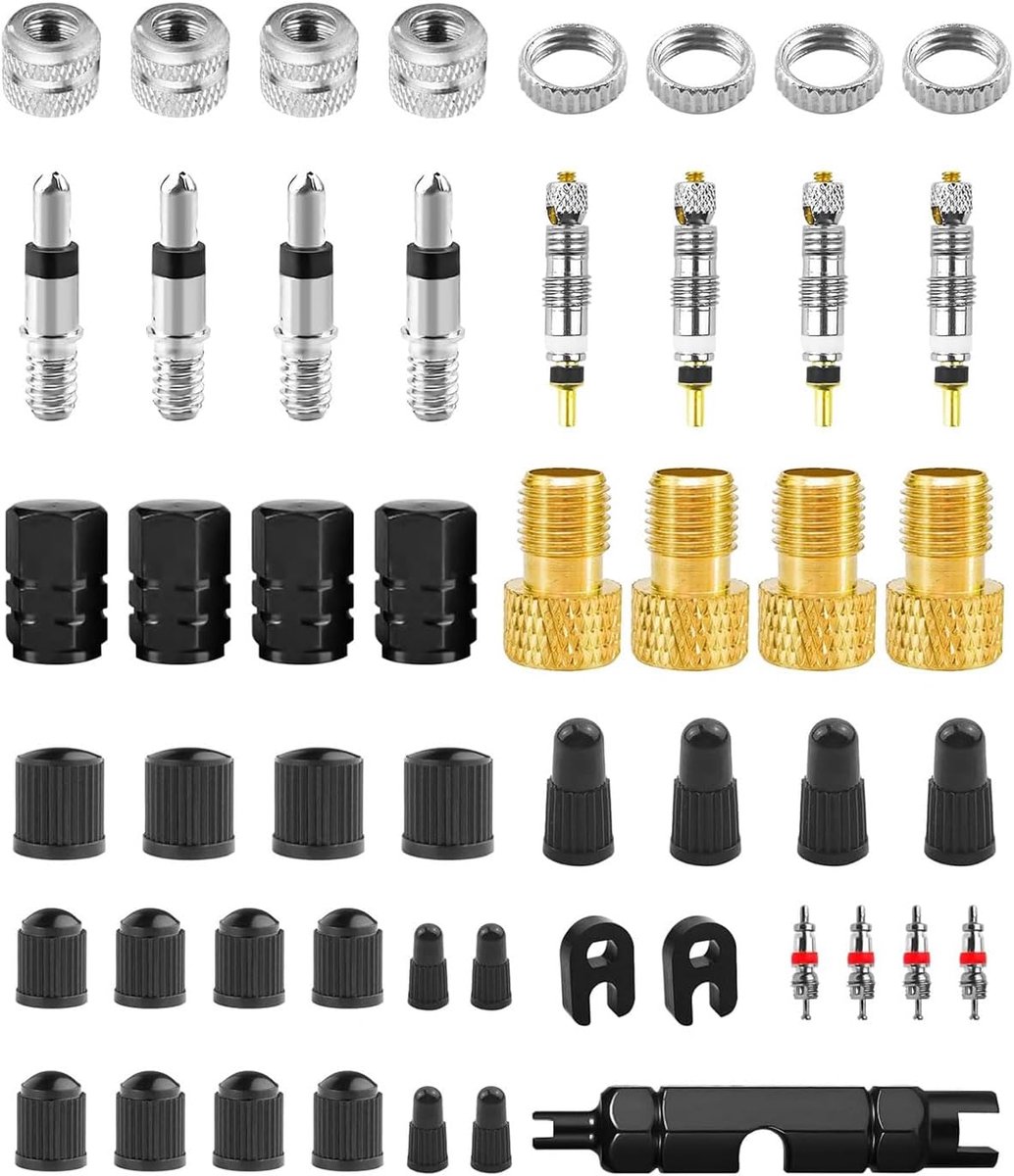 SnelShoppen - 39 stuks Tubeless MTB Ventielen Set, Presta Ventielkernen, Fietsventiel Accessoires, Zwart Kunststof en Aluminium, Inclusief Gereedschap