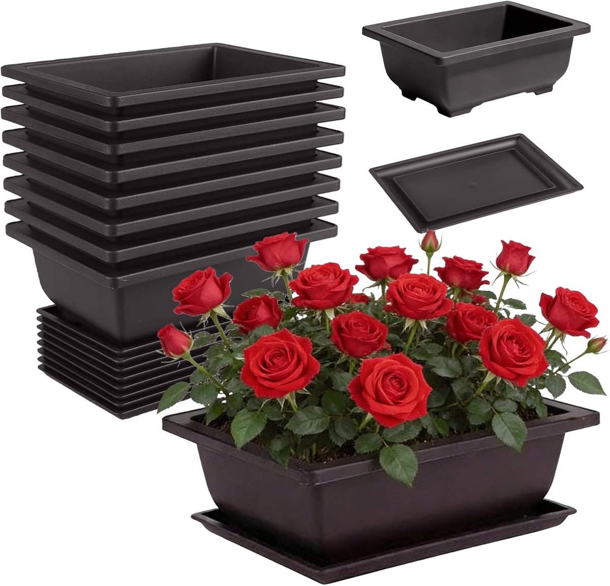 Bonsai Trainingspotten - Bloempot Schalen - Planten Verzorgen - Inclusief Opvangschaal - 8 Stuks 165cm - Zwart
