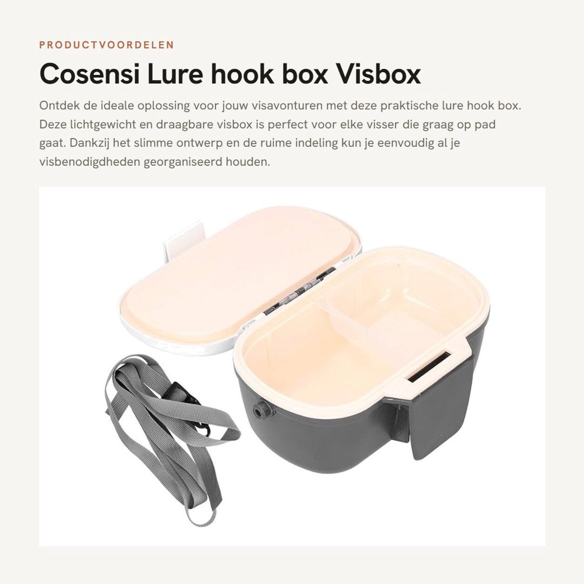 Dailygoods- Lure Box Lichtgewicht - Viskoffer - Plastic Box - Draagbaar - Grote Ruimte - Hoge Kwaliteit Plastic - Visdoos