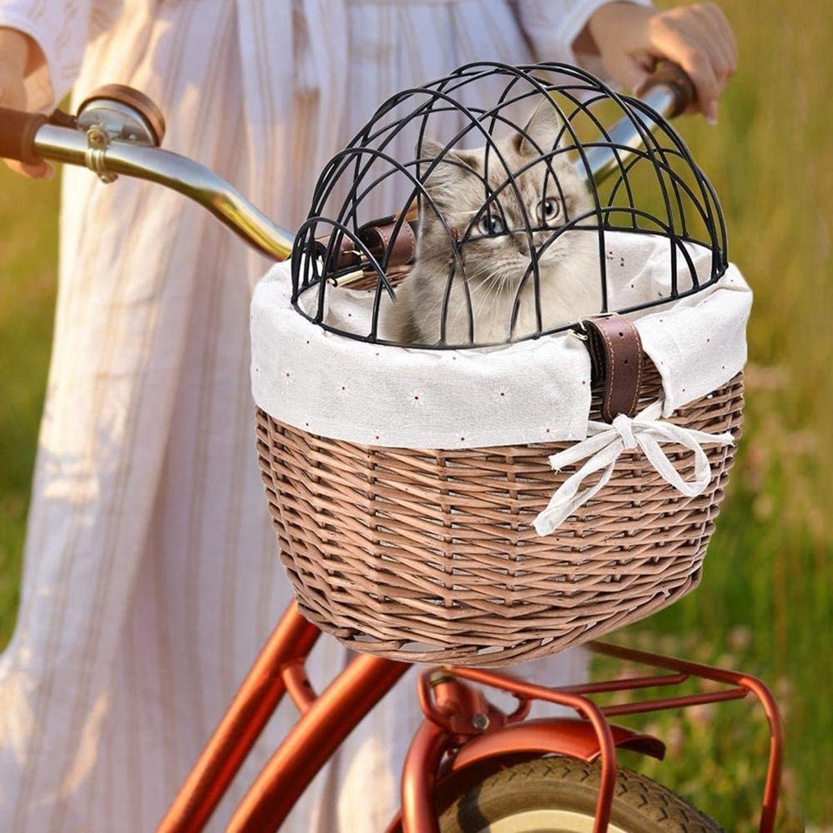 Dailygoods- Fietsmand Honden - Rieten Mand - Transportmand Huisdieren - Eenvoudig te Demonteren - 30x25x20cm - Lichtgewicht 415g - Hondenmand