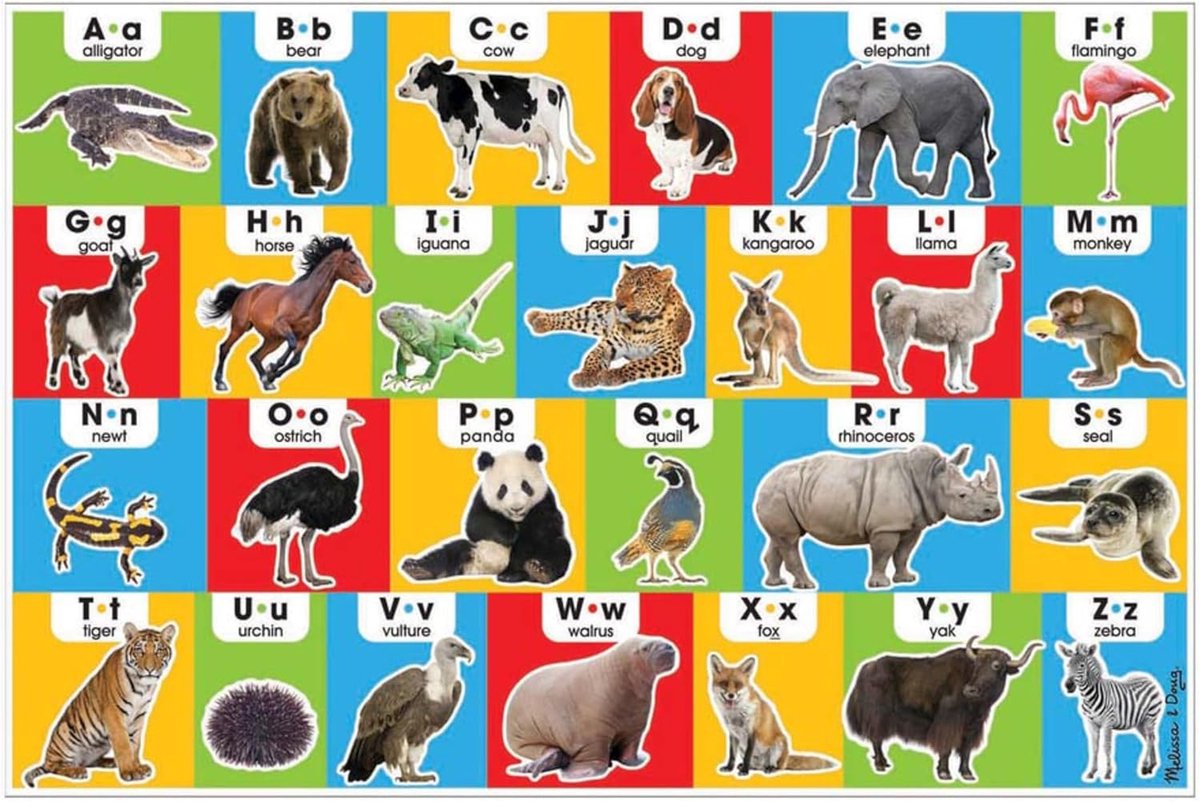 Vloerpuzzel - Educatieve Puzzel - Leren Alfabet - Extra Dikke Stukken - 91 x 61 cm - Meerkleurig