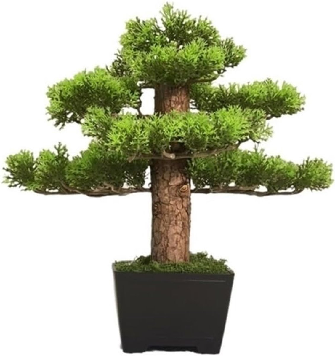 Kunstmatige Bonsai - Decoratie Plant - Woonkamer Decoratie - Weinig Onderhoud - 10 cm - Groen