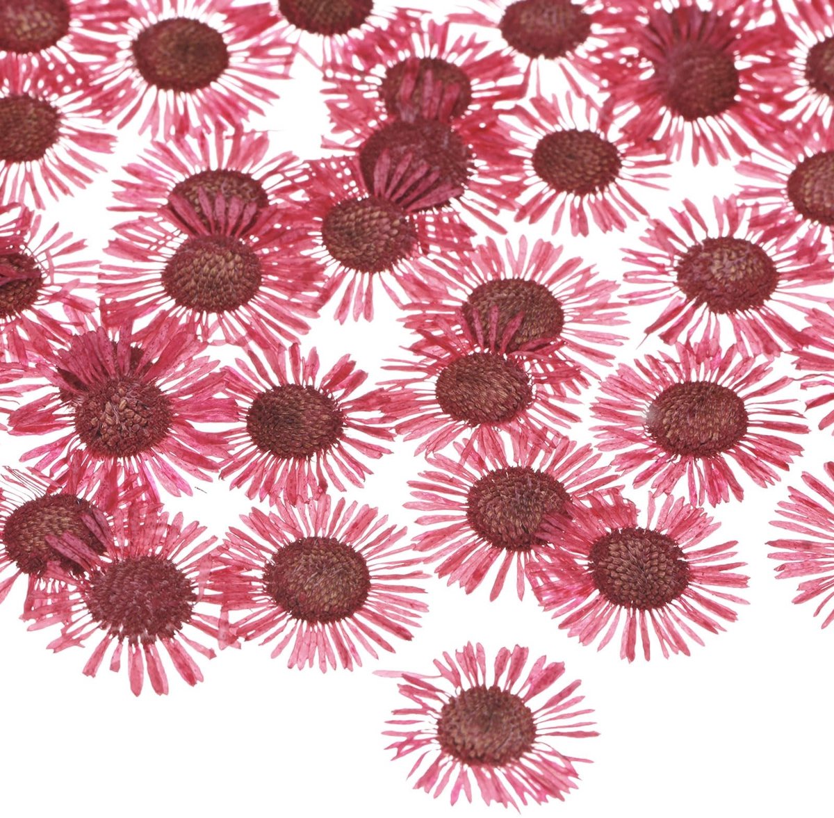 Dailygoods - M METERXITY 60 Stuks Gedroogde Geperste Bloemen Voor Hars, Echte Natuurlijke Bloemen Groothandel Voor Ambachten/Zeep/Scrapbooking/AmbachtKaarsen/Epoxyhars Supplies [Rood]