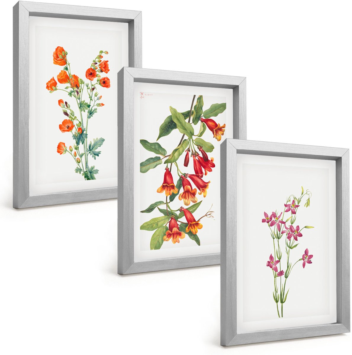 Tulup 4-Delige Schilderij Set - Vintage retro bloemenschilderij - 20 x 30 cm - Muurdecoratie - Wanddecoratie - Slaapkamer