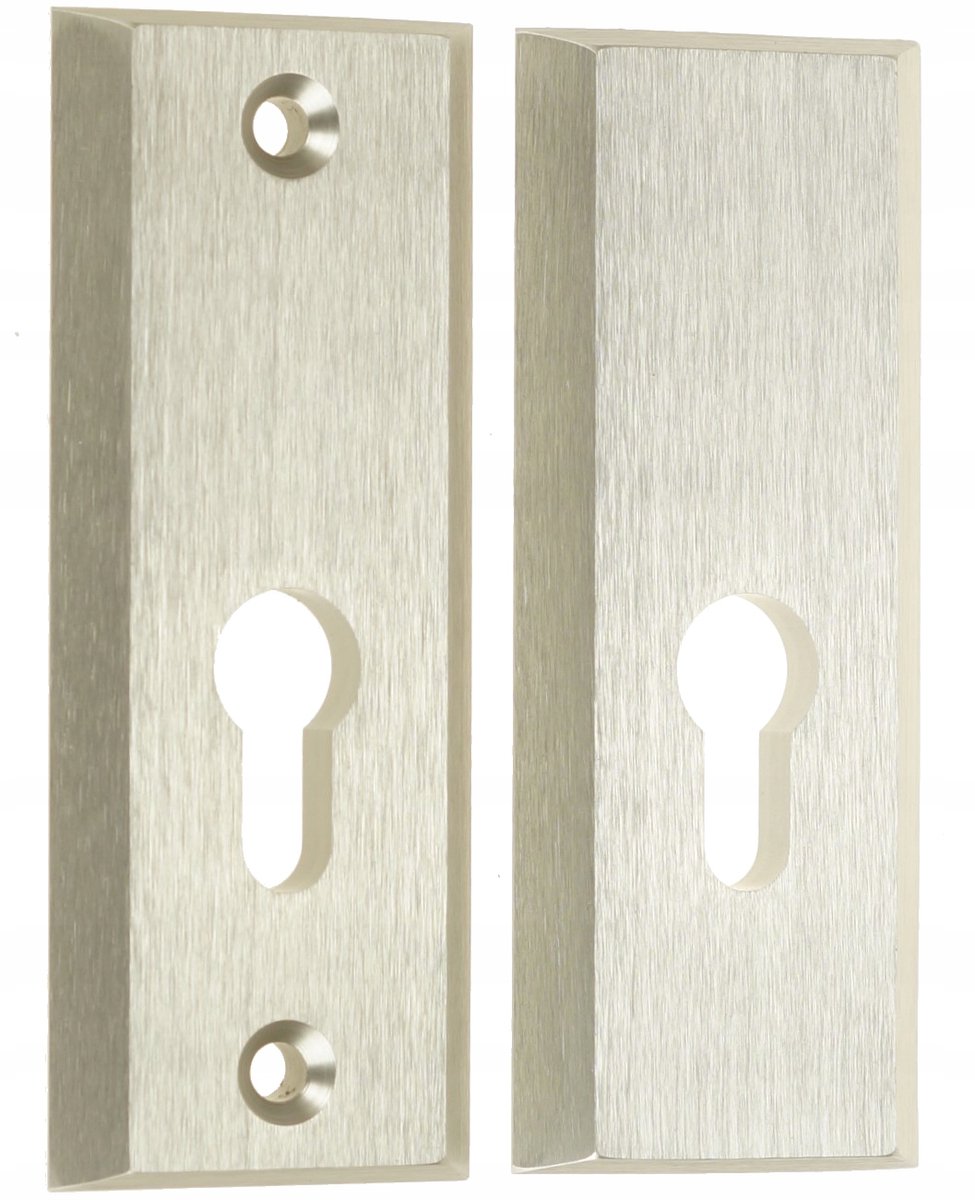 Veilig Buitenschild Logo 105mm Titaan Zilver - Verborgen Schroeven