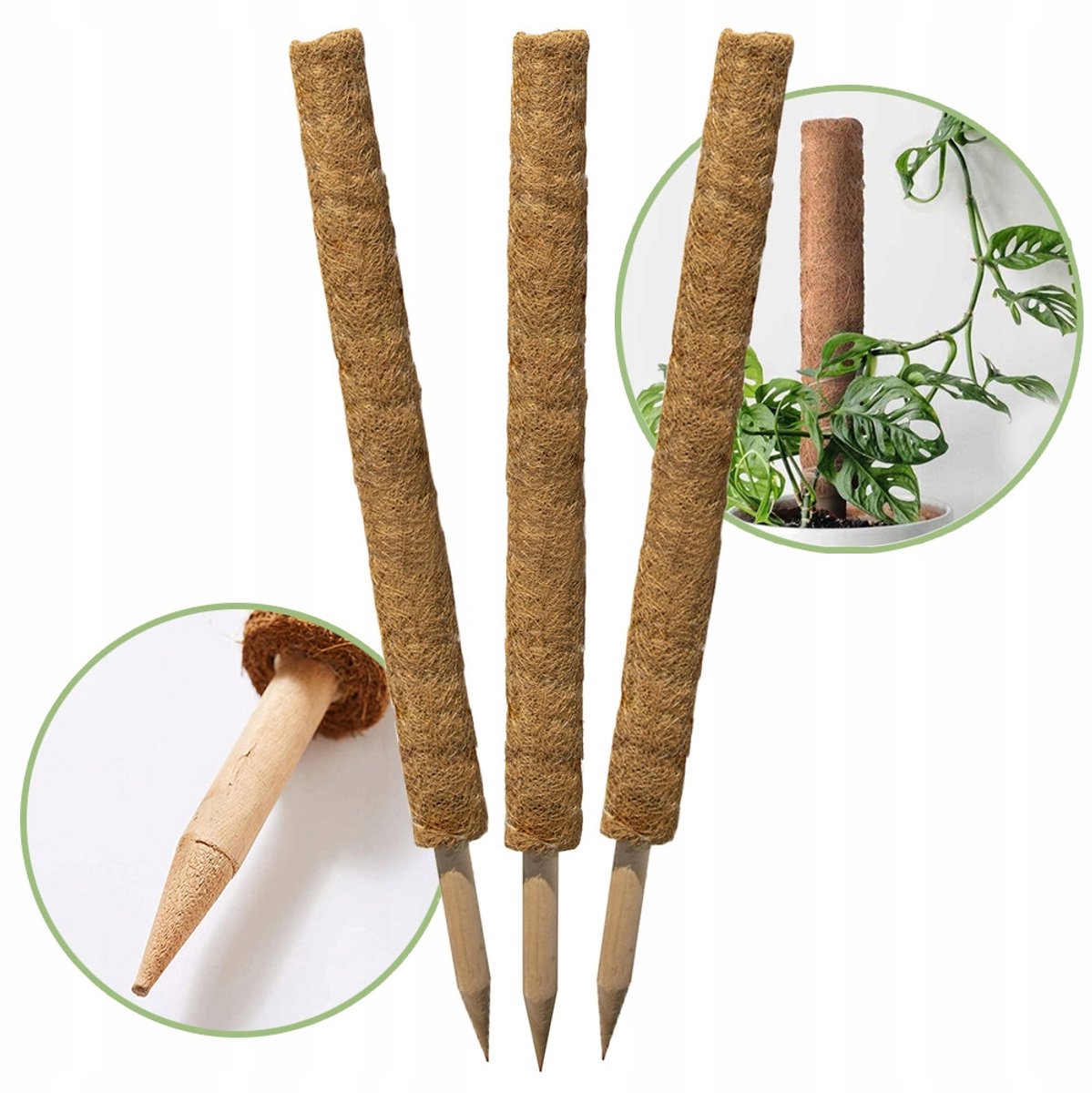 Kokossteun voor Planten 45 cm - 3 stuks - Natuurlijke Steun