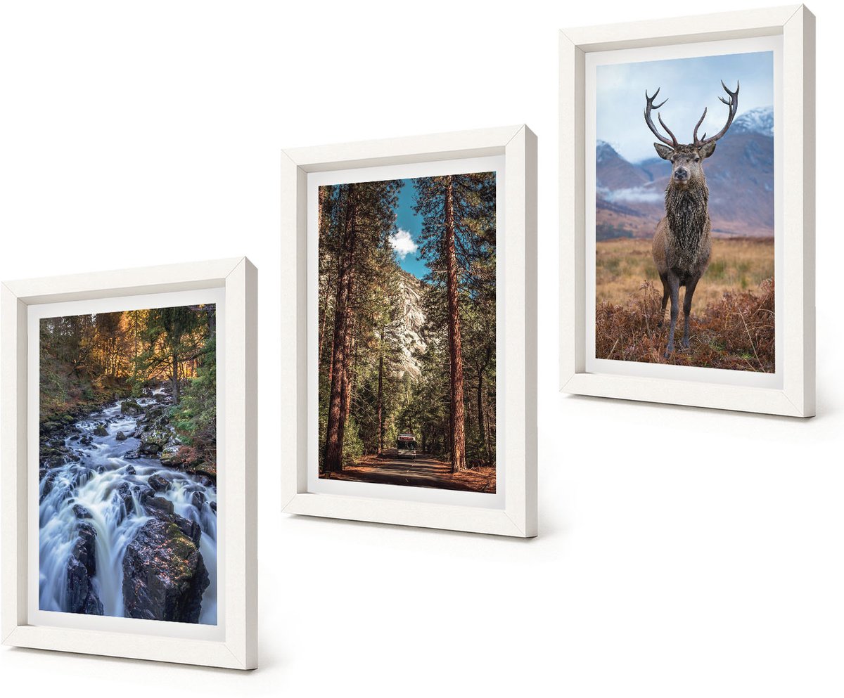 Coloray 3-Delige Schilderij Set - Waterval in het bosgebergte en herten in de natuur - 20x30 - Wanddecoratie - Muurdecoratie - Woonkamer