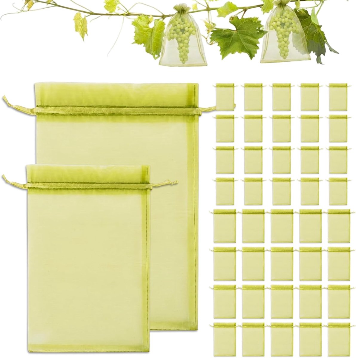 Pack of 40 grape and fruit bags in 2 sizes (15 x 20 cm, 20 x 30 cm), bird and insect repellent net made of green - ShopVlot