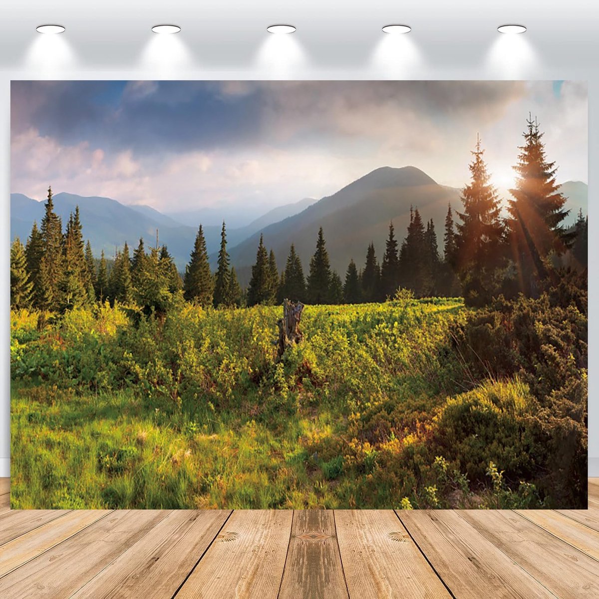 Photo background with nature landscape, green forest mountains sunset photography background landscape travel suburbs - ShopVlot