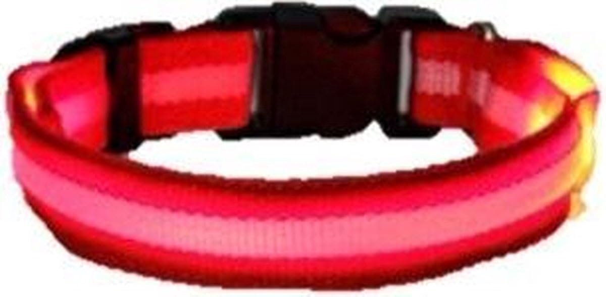 *** Red M LED Dog Collar - Visibility and Safety Guaranteed - Dark Visible - from Heble® *** - ShopVlot