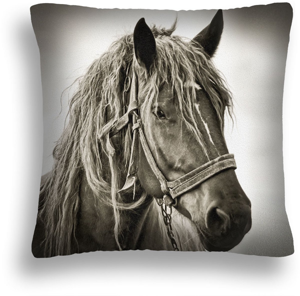 Decoratieve kussen 40x40 cm met paardendessin, inclusief hoes en vulling