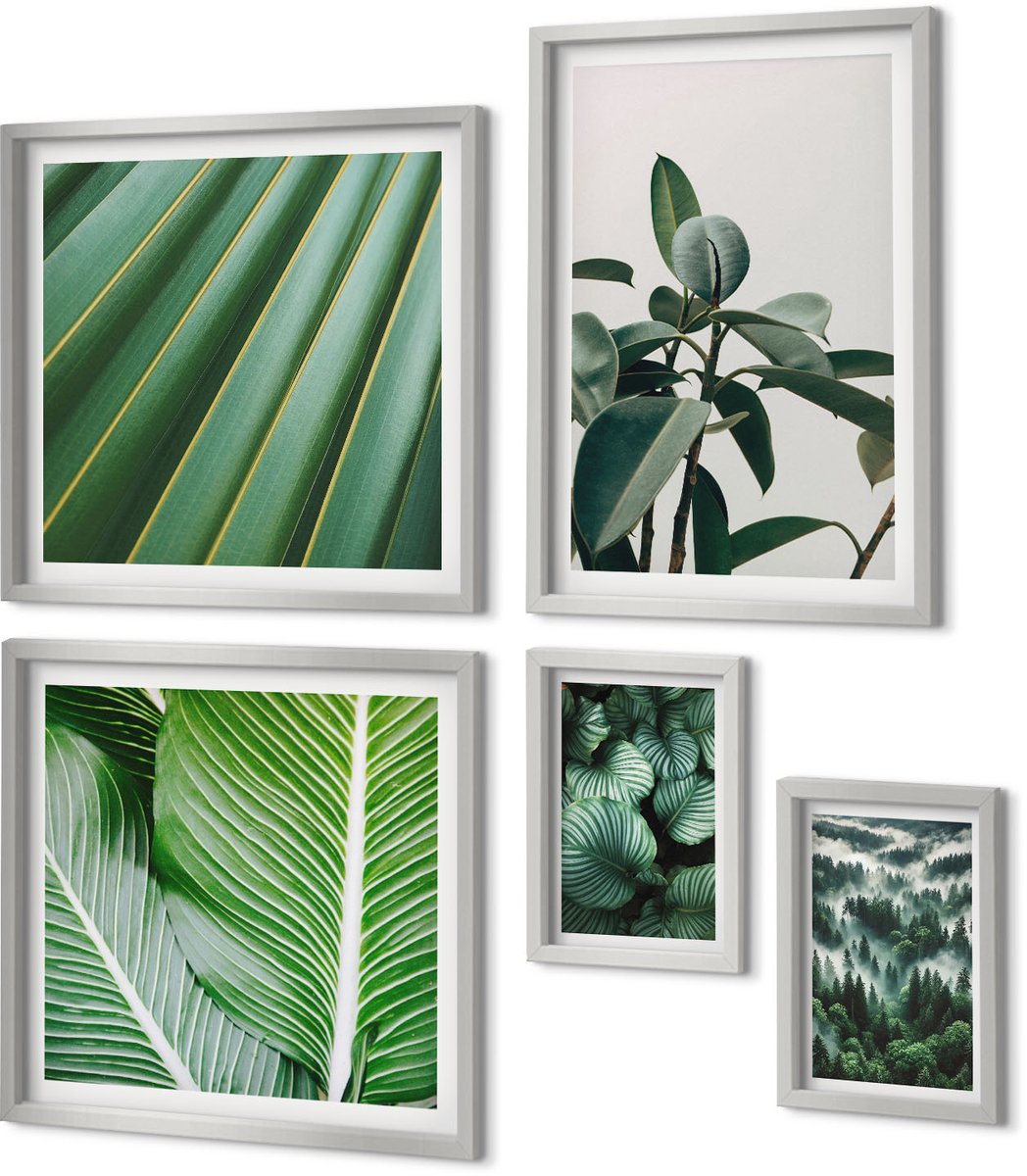 Coloray 5-Delige Schilderij Set - Esthetische Tropische Bladeren In Diverse Groene Tinten - 20 x 30 cm - Stijlvolle Muurdecoratie - Kantoor