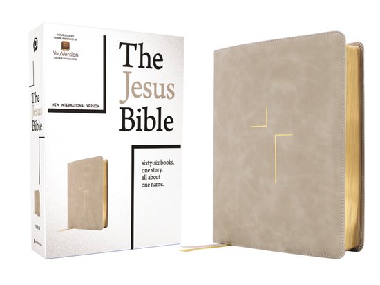 La Bible de Jésus, édition NIV, Leathersoft, couleur pierre, avec une croix dorée sur la couverture.