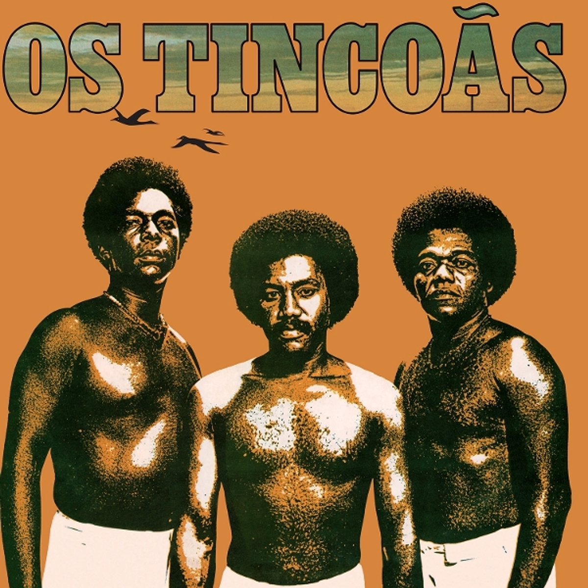 Os Tincoas