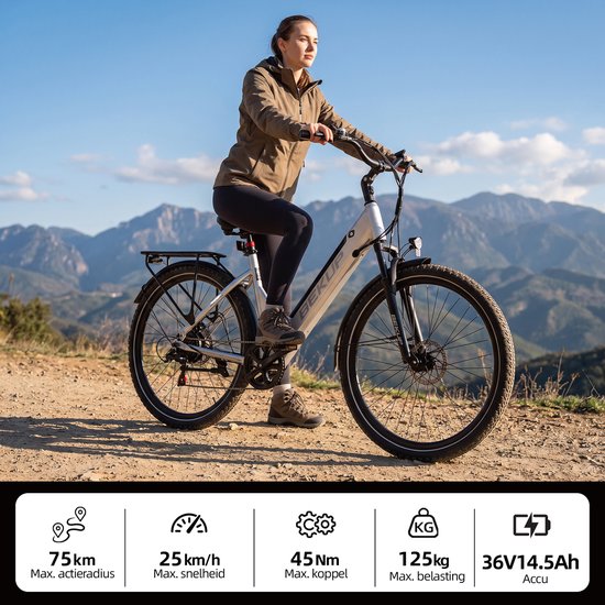 Elektrische Fiets 28 inch Lage Instap - Comfortabel Fietsontwerp - Lange Actieradius - Ideaal voor Stad en Vrije Tijd - Zilverwit — afbeelding 4
