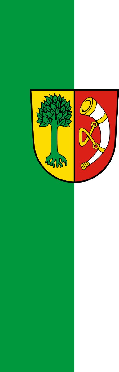 Vlag Friedrichshafen 200x300cm