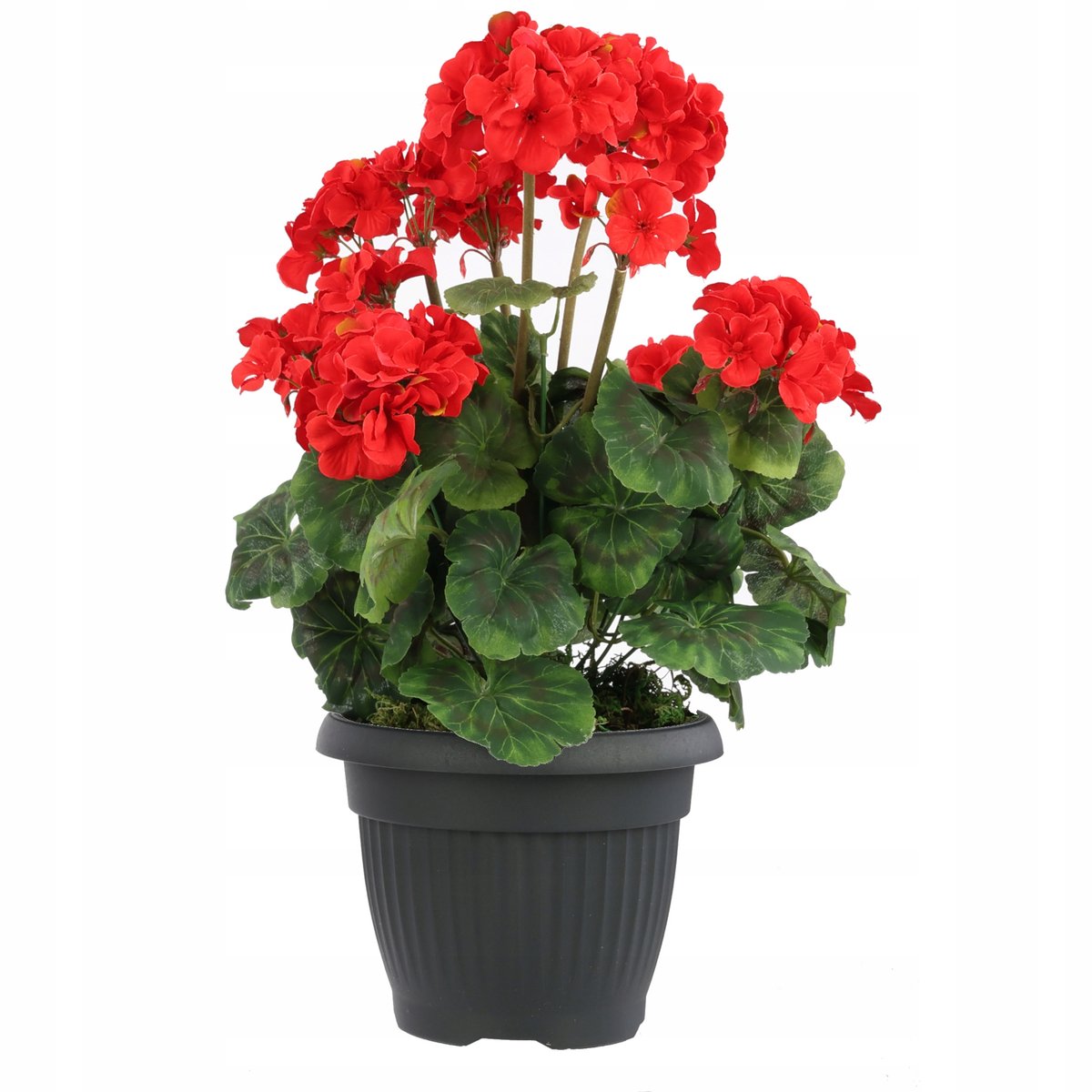 Klassieke Antraciet Ronde Plantenbak Ø40cm - Duurzaam Kunststof