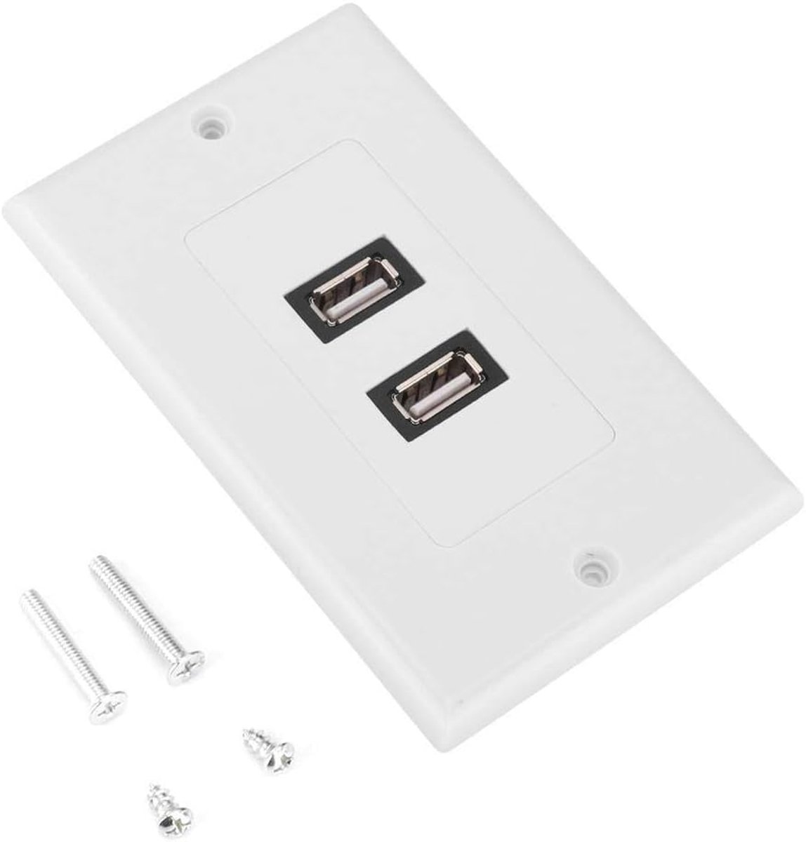 Dual USB 2.0 wall plate for wall mounting, wall mounted, USB charger with wall outlet and wall plate, white - ShopVlot