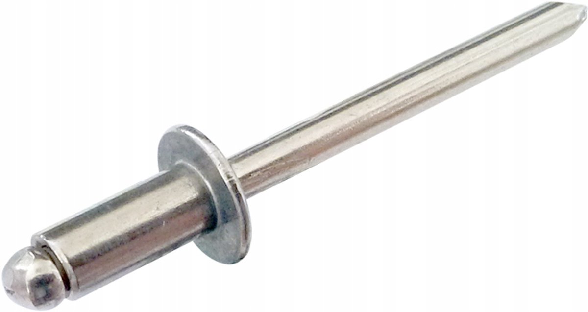 500x Platte Kop Nieten RVS A4 4,8x12 mm