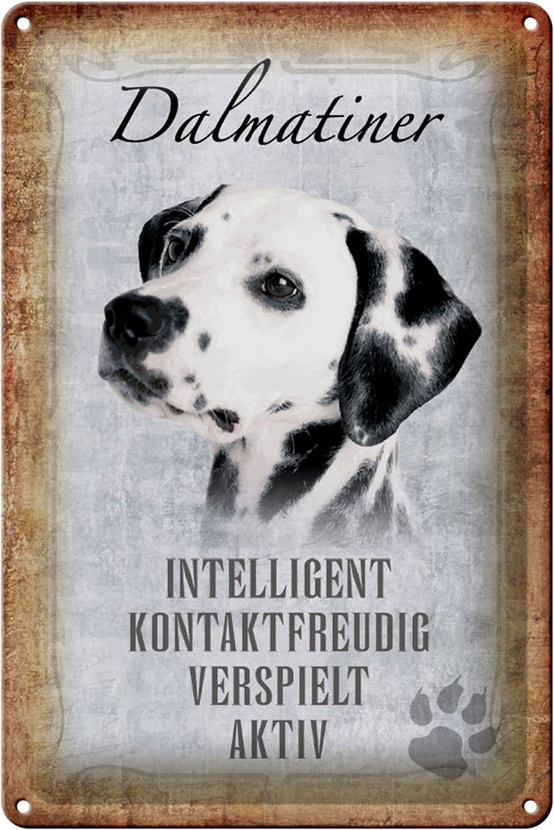 Blechschild Spruch 20x30cm Dalmatiner Hund Schild