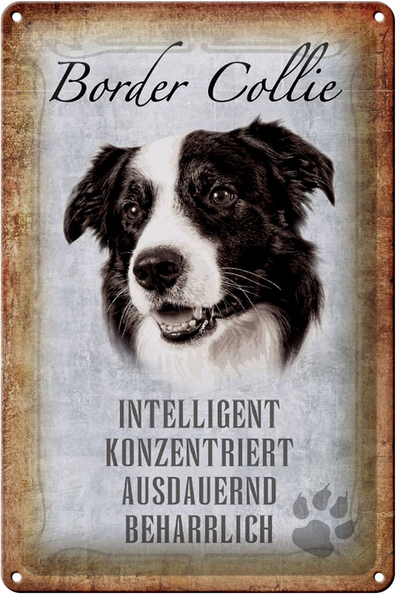 Blechschild Spruch 20x30cm Border Collie Hund Schild