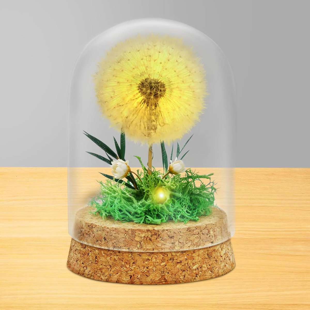 paardenbloem in glas, wensvuller met ledlicht, echte paardenbloem in glas, decoratieve geschenken in glas voor vrouwen, geluksbrenger, verjaardag, bruiloft, jeugdwijding, Kerstmis