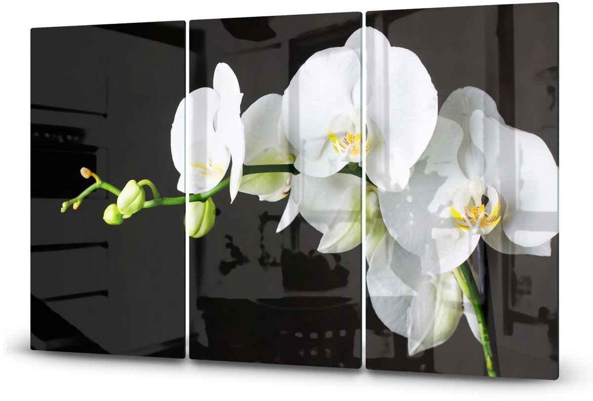 Mydesignglas Glazen Inductie Beschermer - Krasvrij Gehard Glas met Antislip - Afdekplaat voor Kookplaat - Spatscherm Achterwand Keuken - 3x30x52 cm - Witte Orchideen
