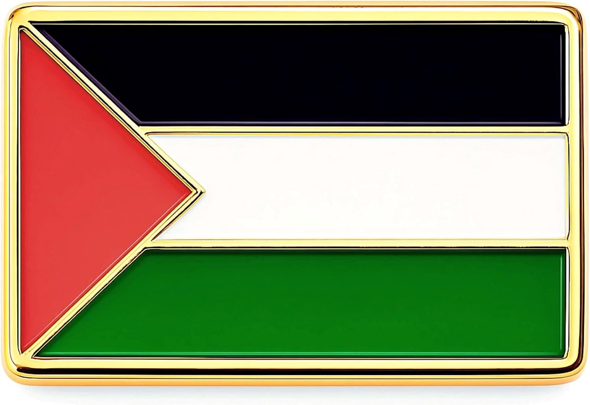 pijnbomen - Palestina broche