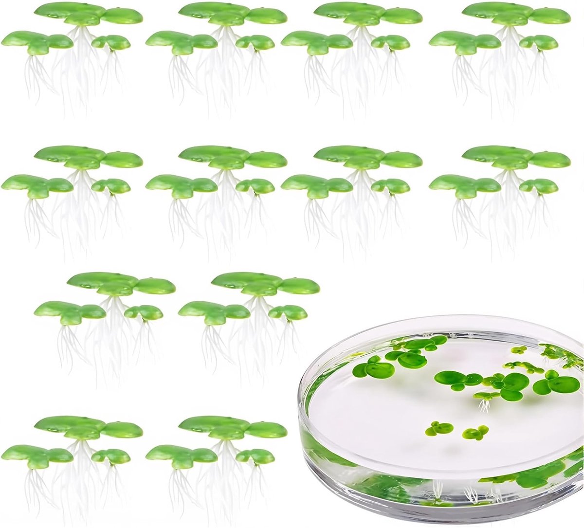 waterlenzen voor aquarium, 36 stuks, 2 verpakkingen drijvende waterplanten in 3 maten, realistische decoratie van kunststof voor aquaria, vijvers en visaccessoires