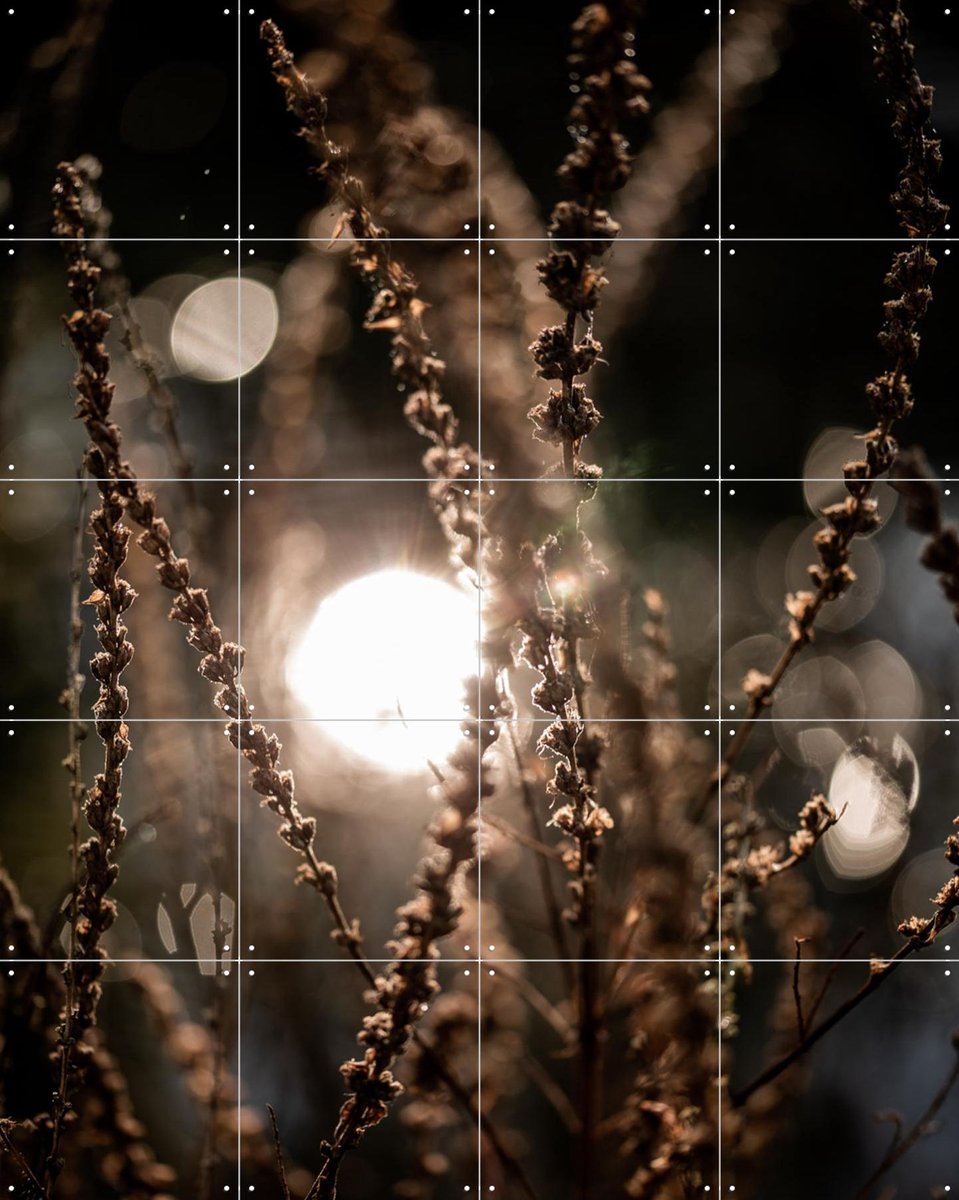 IXXI Natural Sparkle, Mareike Böhmer - 80 x 100 cm - Gratis ophangtool - Grote wanddecoratie en posters - Fotografie, Realisme, Woonkamer, Gang, Trap