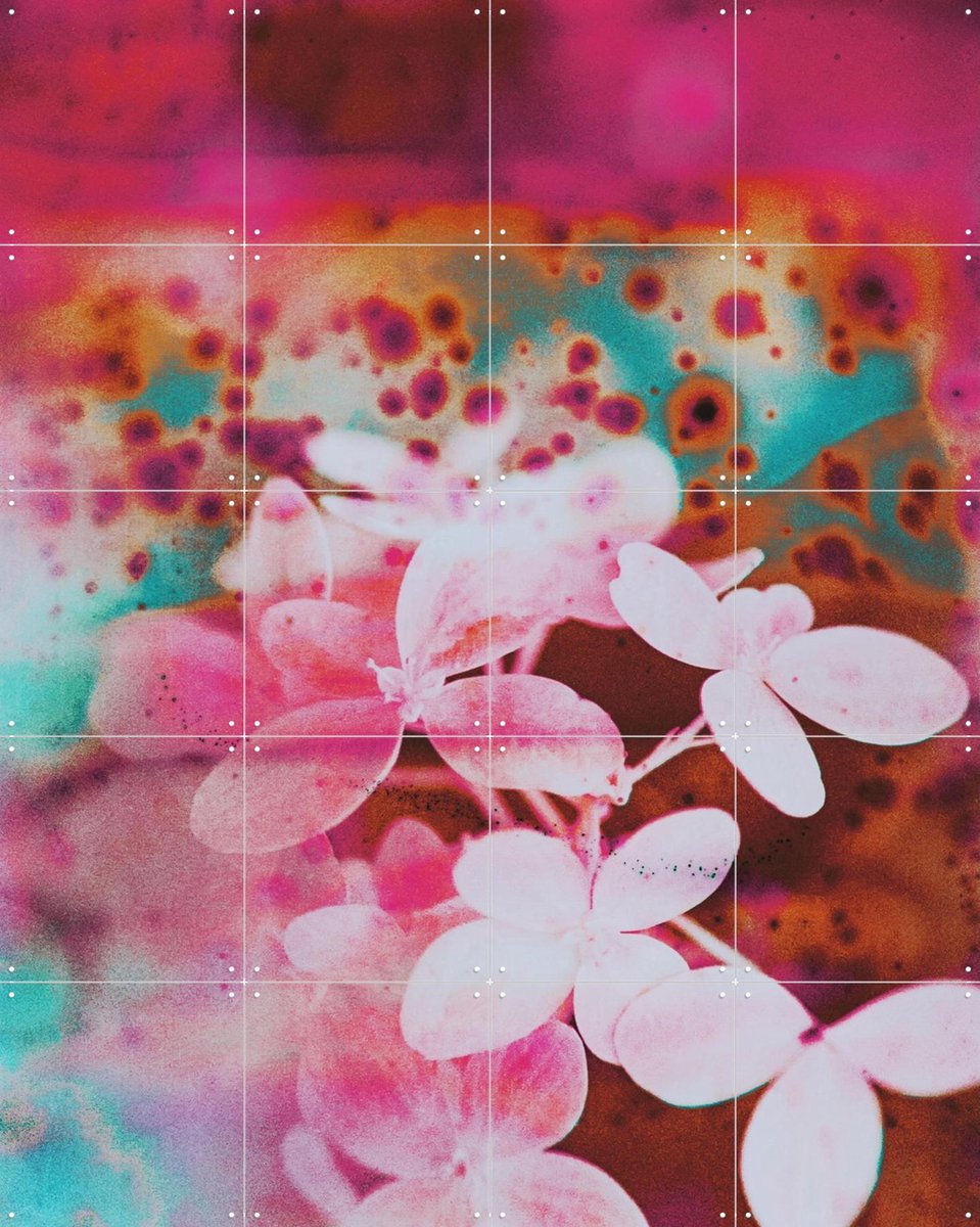 IXXI Entranced, Amber Lauder - 80 x 100 cm - Gratis ophangtool - Grote wanddecoratie en posters - Gemengde Technieken, Kleurrijk, Woonkamer