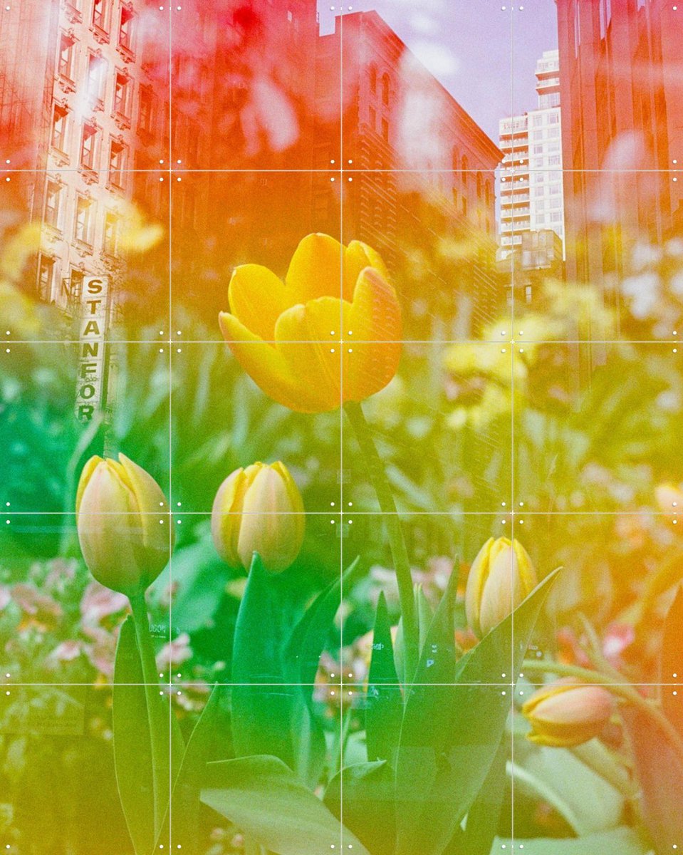 IXXI Center of the Universe, Amber Lauder - 80 x 100 cm - Gratis ophangtool - Grote wanddecoratie en posters - Kleurrijk, Gemengde Technieken, Gang