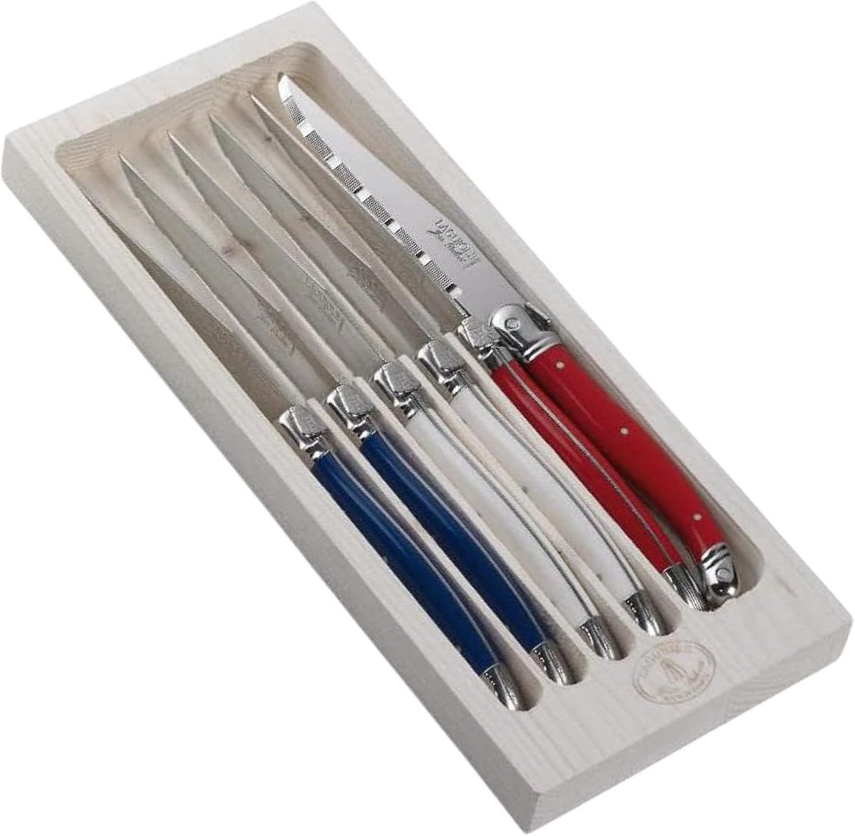 SnelShoppen - Set van 6 Vleesmesjes - Assorti Kleuren - RVS - ABS Handvatten - Houten Opbergdoos - Perfect voor Feestjes en Barbecues