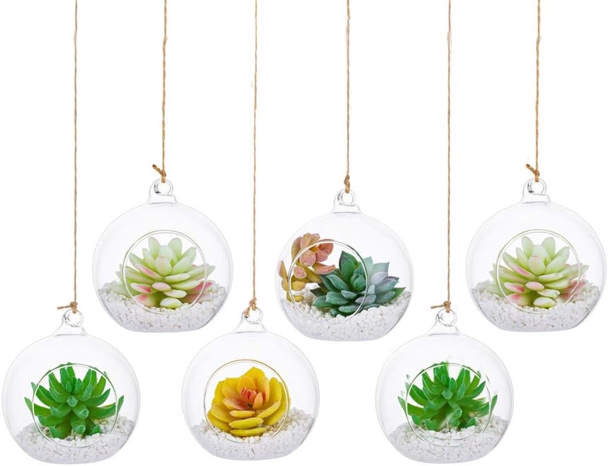 SnelShoppen - Tabletop Air Plant Display Globe Bevel Glass Ball Terrarium Ornament Display Vase Pot 4'' - 6 Stuks voor Thuis, Tuin, Kantoor - Creatiev