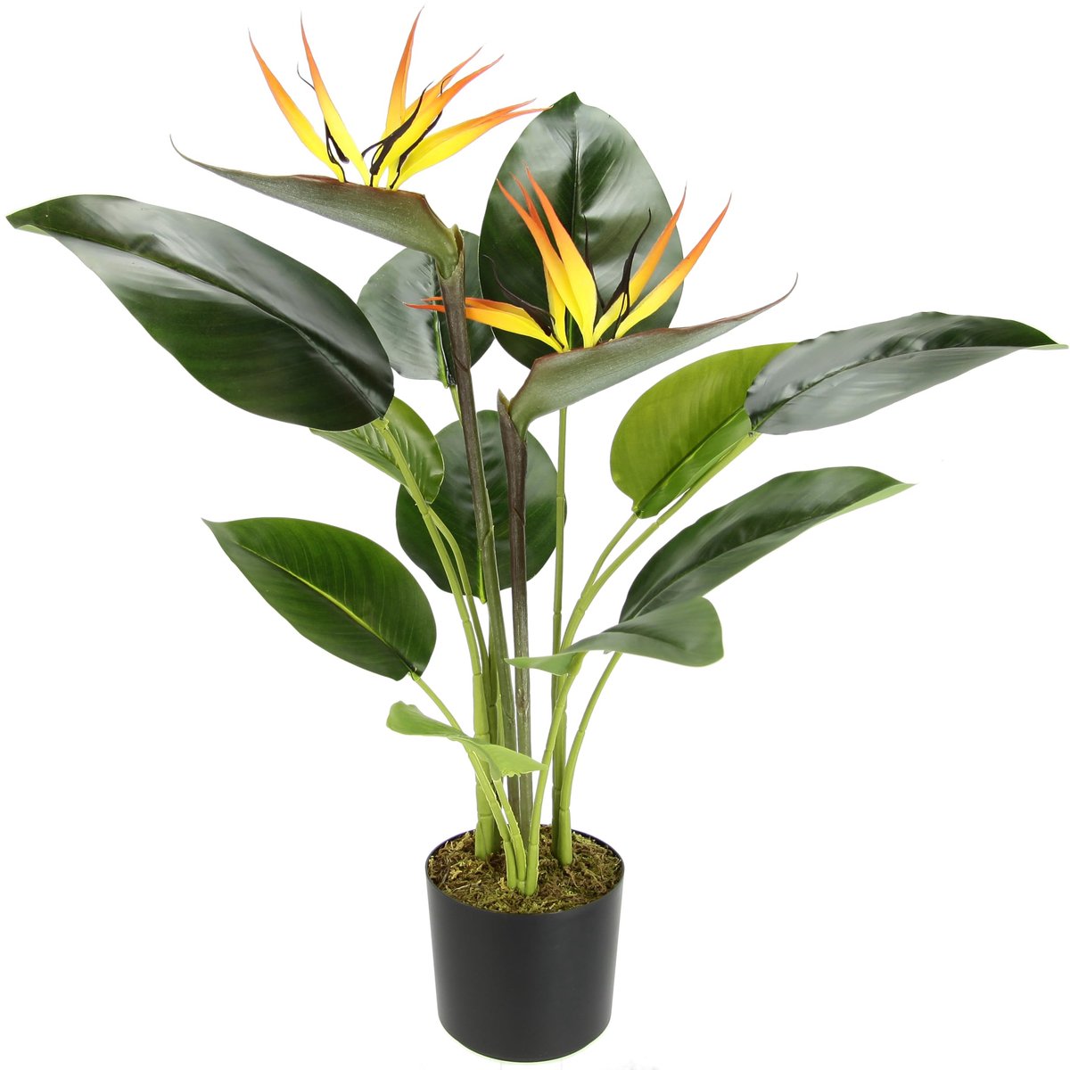 SnelShoppen - Kunstplant Strelitzie met Bloeiende Kunstbloemen in Pot - Exotische Papegaaienbloem voor Kantoor, Woonkamer, Tuin, Decoratie, Zijde, Kle