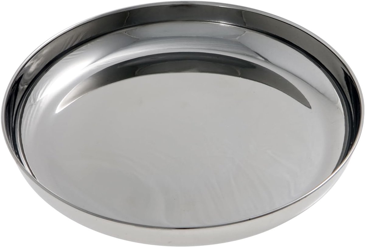 SnelShoppen - RVS Campingbord met Rand 19 cm - Lichtgewicht Roestvrij Staal Bord voor Buiten, Tuin, Keuken, Feest, Kamperen, Picknick, Duurzaam en Mak